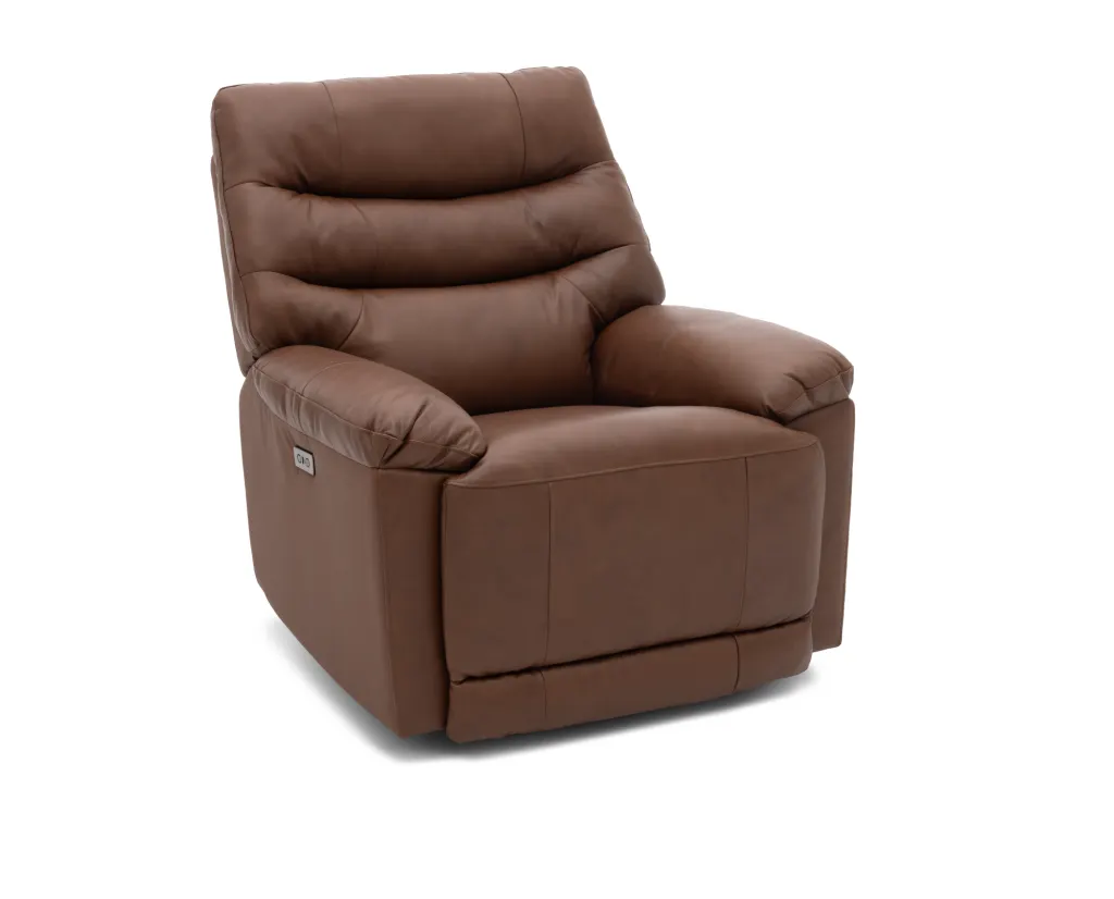 CameronPowerRecliner12202401