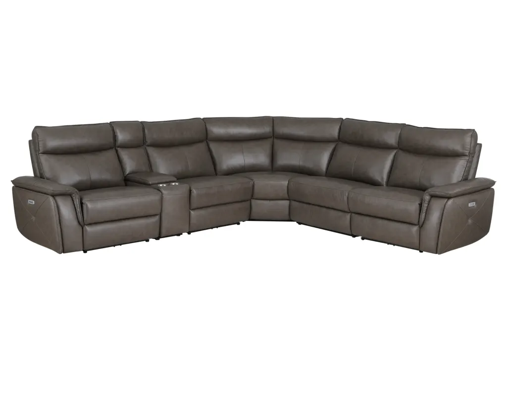 DowlingIIBrownPwrRecSectional1_en88ri