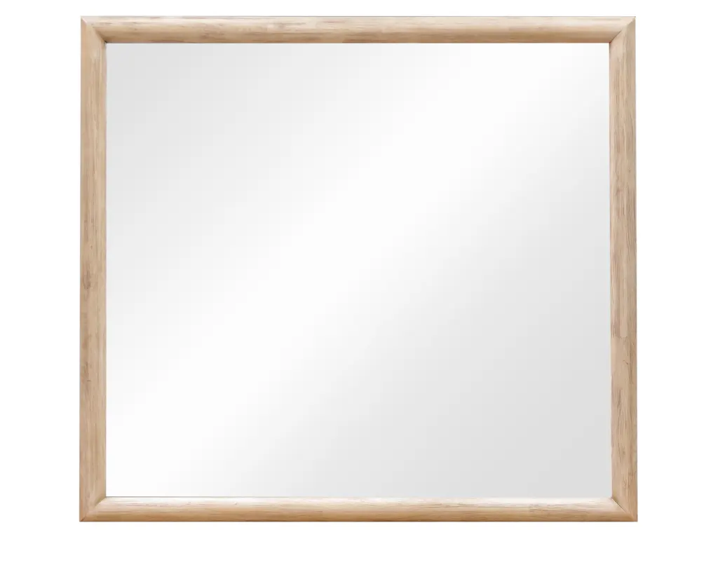 DraydenMirror2