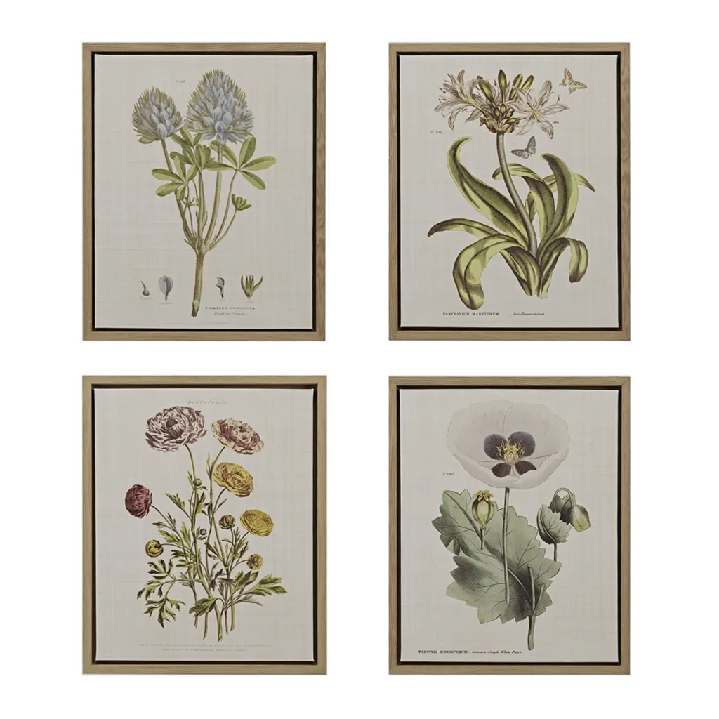 HerbalBotanyFramedCanvasSet412202401
