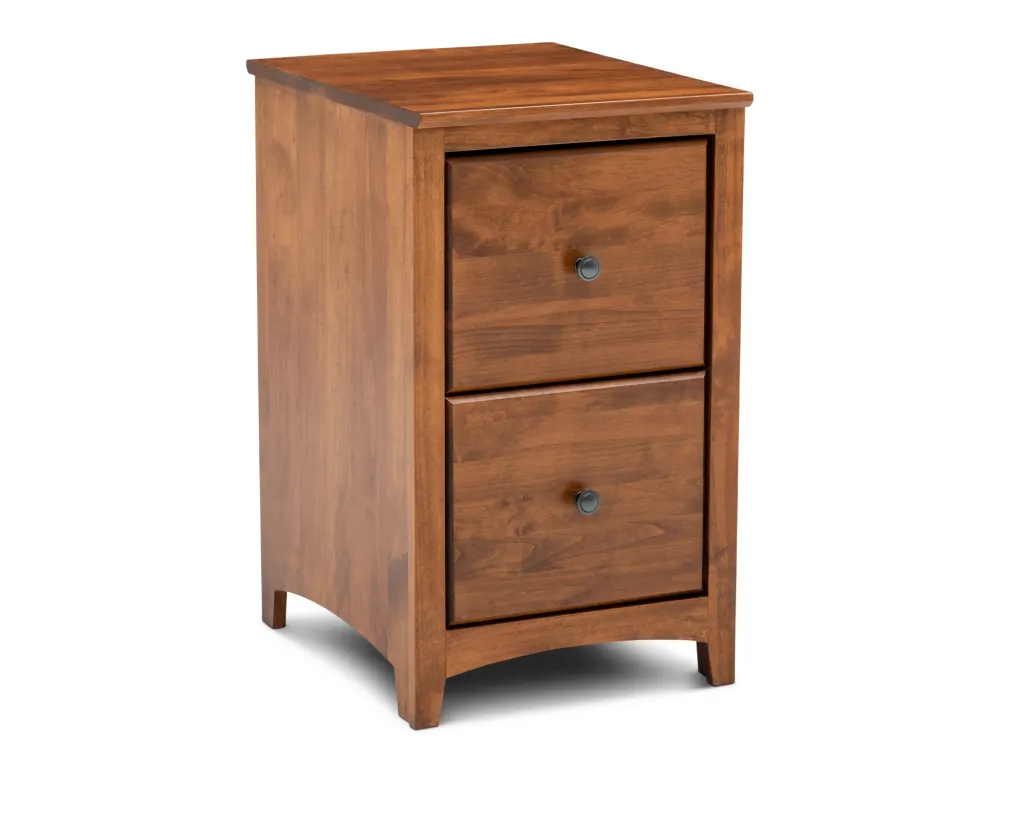 Hopewell2DrawerFileCabinetBrown1_b1h80z