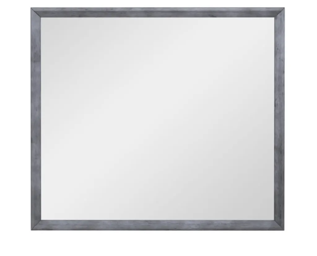 RatonMirror2