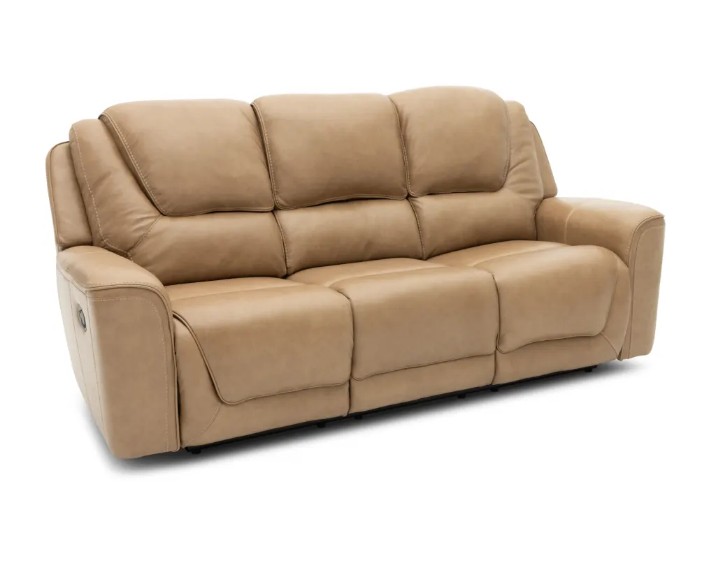 StrykerLeatherManualReclSofaLtBrownMarch202601