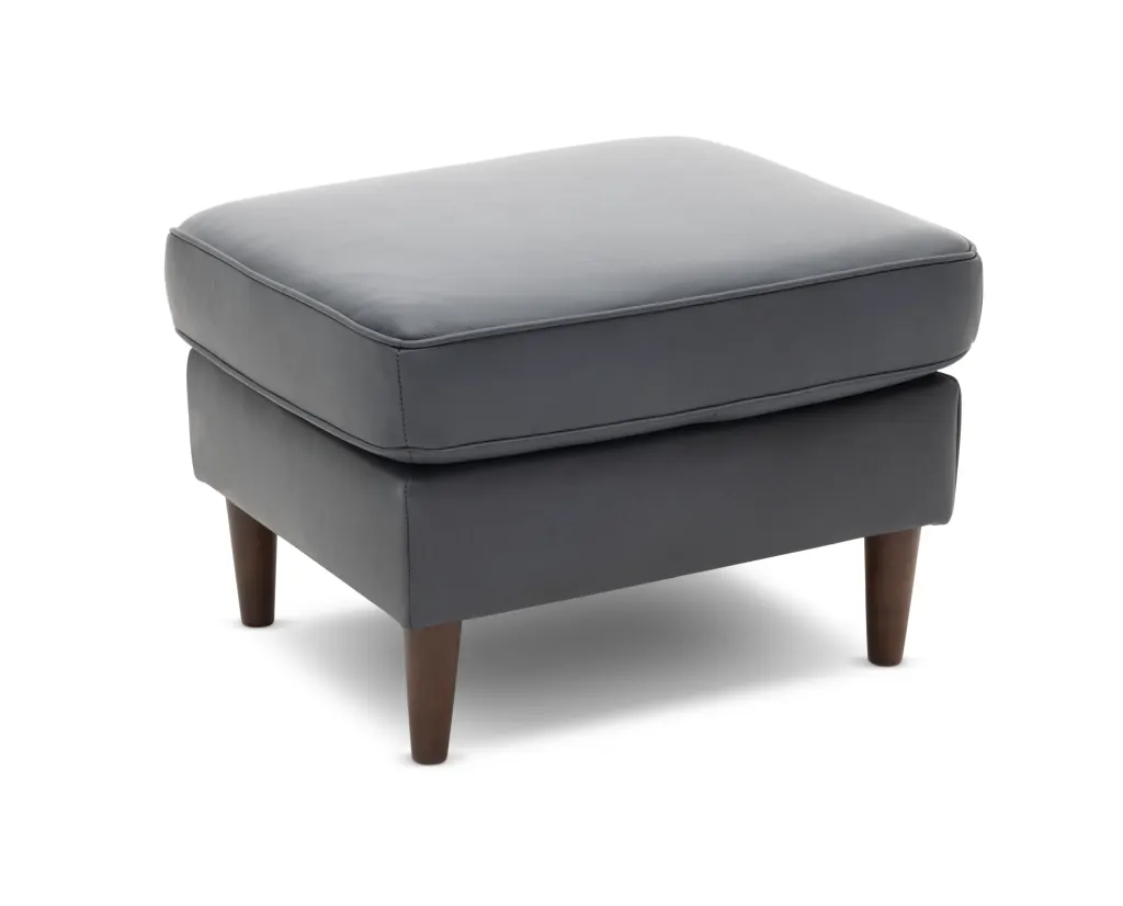ZavianLeatherOttoman07202401
